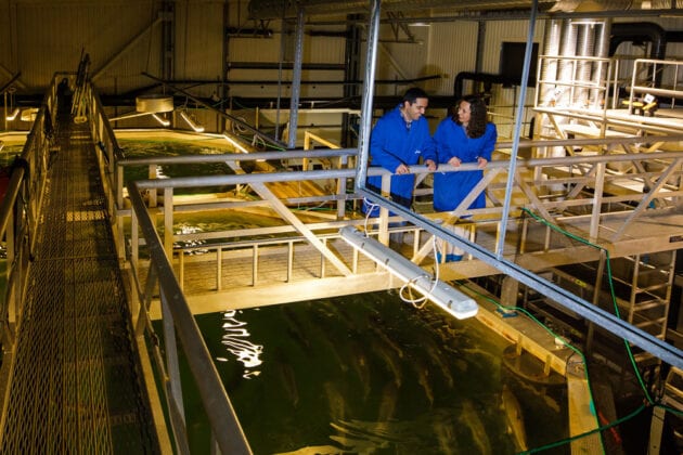 Personal de Nofima junto a estanques de cultivo en su centro de recirculación acuícola en Noruega.