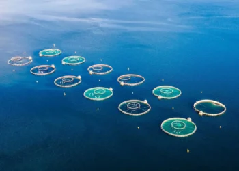 Ilustración del proyecto de cultivo de salmón en Namibia de African Aquaculture Company, frente a Lüderitz.