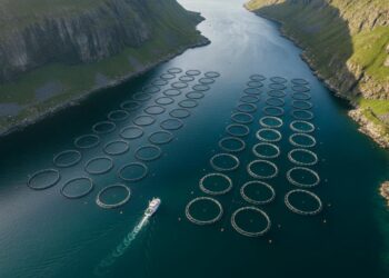 Sistemas de alimentación automatizada y pontón flotante en centro de cultivo de salmónidos en aguas del sur austral.