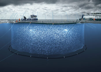 Representación del proyecto de salmonicultura en mar abierto Blue Endeavour de NZ King Salmon en Nueva Zelanda.