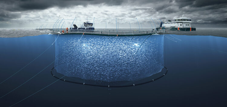 Representación del proyecto de salmonicultura en mar abierto Blue Endeavour de NZ King Salmon en Nueva Zelanda.