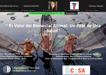 Participantes del webinar de CASA y la OMSA sobre bienestar en acuicultura.