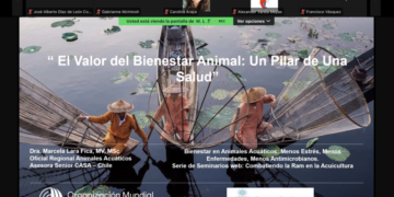 Participantes del webinar de CASA y la OMSA sobre bienestar en acuicultura.