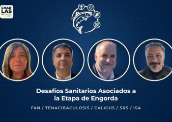 Los cuatro panelistas del conversatorio sobre el virus ISA de la Charla Técnica Desafíos Sanitarios Asociados a la Etapa de Engorda de InfoSALMON
