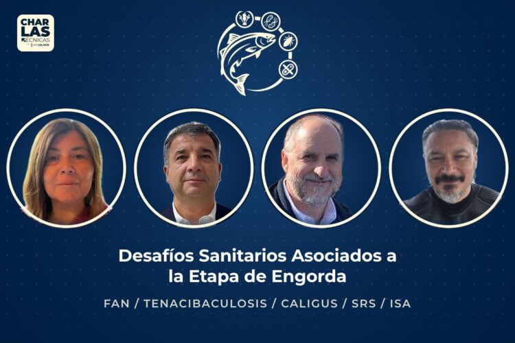 Los cuatro panelistas del conversatorio sobre el virus ISA de la Charla Técnica Desafíos Sanitarios Asociados a la Etapa de Engorda de InfoSALMON