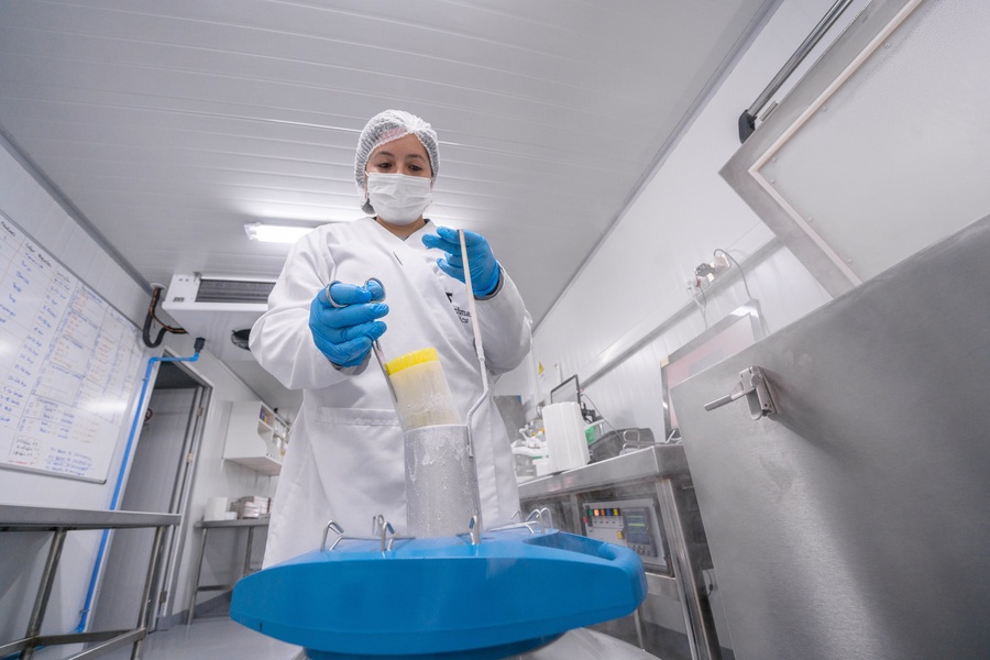Laboratorio de BenchMark 
