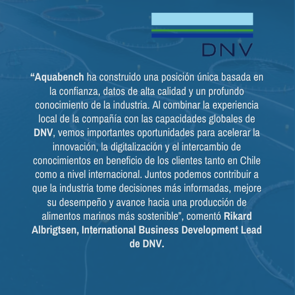 Cuadro informativo sobre DNV