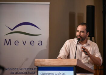 MEVEA conmemora el Día del Médico Veterinario en la acuicultura en Puerto Varas