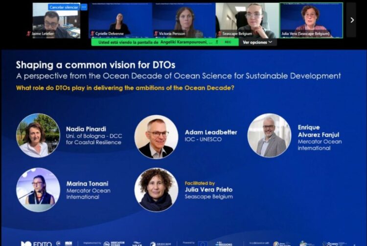 Captura del diálogo virtual sobre gemelos digitales del océano, con Jaime Letelier de IFOP entre los participantes