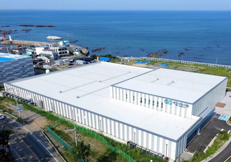 Primera cosecha de salmón Atlántico de Eco Aquafarm en Busan, Corea del Sur