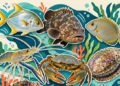 Collage de especies acuícolas del Concurso de Genética para Especies Emergentes 2026