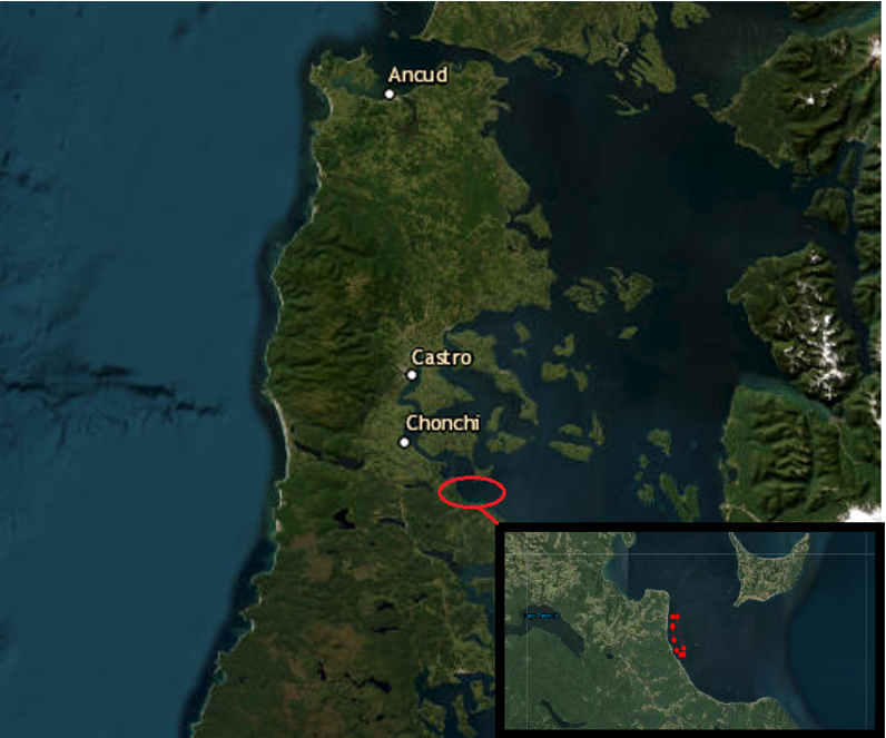 Infografía sobre las floraciones algales nocivas en Chiloé