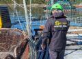 Centro de cultivo Luchín de Cermaq en Aysén, donde Sernapesca fiscaliza la cosecha por ISAv
