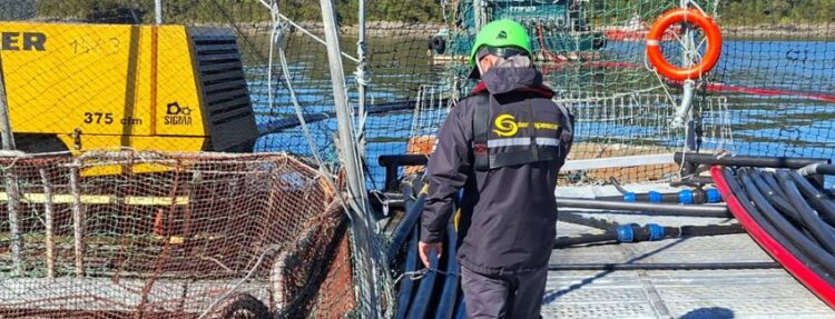 Centro de cultivo Luchín de Cermaq en Aysén, donde Sernapesca fiscaliza la cosecha por ISAv