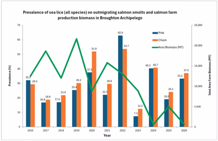 Gráfico: Asociación de Agricultores de Salmón de Columbia Británica.