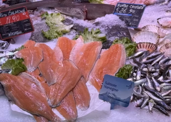 Salmones de cultivo en Noruega, país donde el precio promedio de exportación disminuyó un 1,7% durante la semana 41 de 2026.
