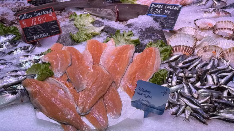 Salmones de cultivo en Noruega, país donde el precio promedio de exportación disminuyó un 1,7% durante la semana 41 de 2026.