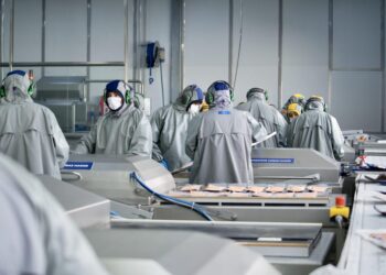 Trabajadores procesan salmón en una planta industrial chilena.