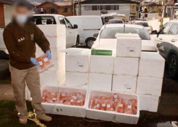 Salmones robados eran vendidos en Angelmó.
