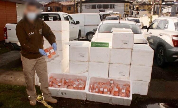 Salmones robados eran vendidos en Angelmó.