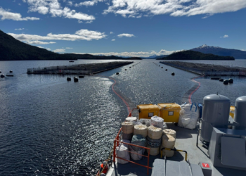Operativo de Sernapesca por floración algal nociva en centros de cultivo de Magallanes