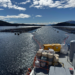 Operativo de Sernapesca por floración algal nociva en centros de cultivo de Magallanes