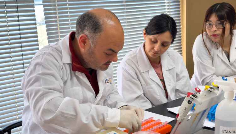 Investigadores y estudiantes de postgrado trabajando en laboratorio de biotecnología y patología acuícola.