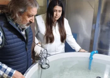 Disco de Autolimpieza para Acuicultura (DAL) de Innaqua LAB