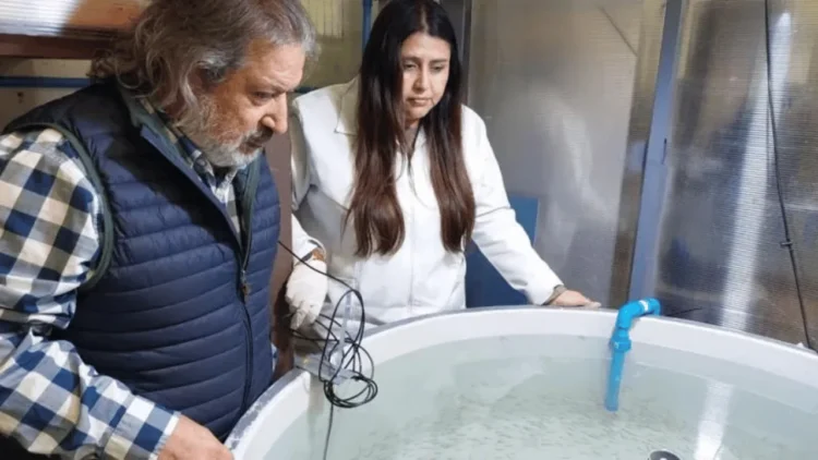 Disco de Autolimpieza para Acuicultura (DAL) de Innaqua LAB