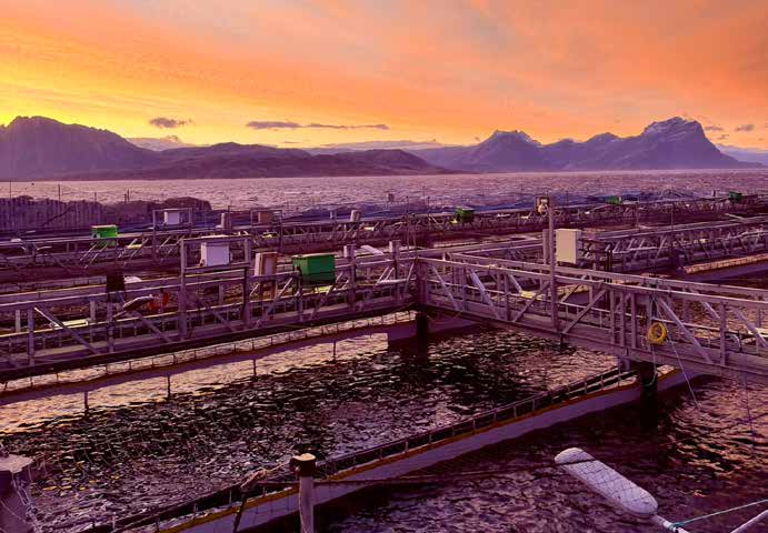 Canales de cultivo de Gigante Salmon en Rødøy, Noruega, con el mar y montañas al fondo.