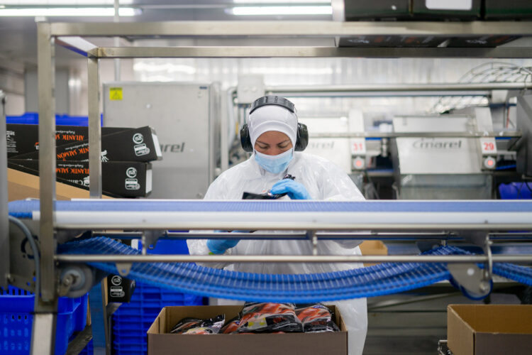 Trabajadora empaca productos de salmón en la planta de Camanchaca en Tomé.