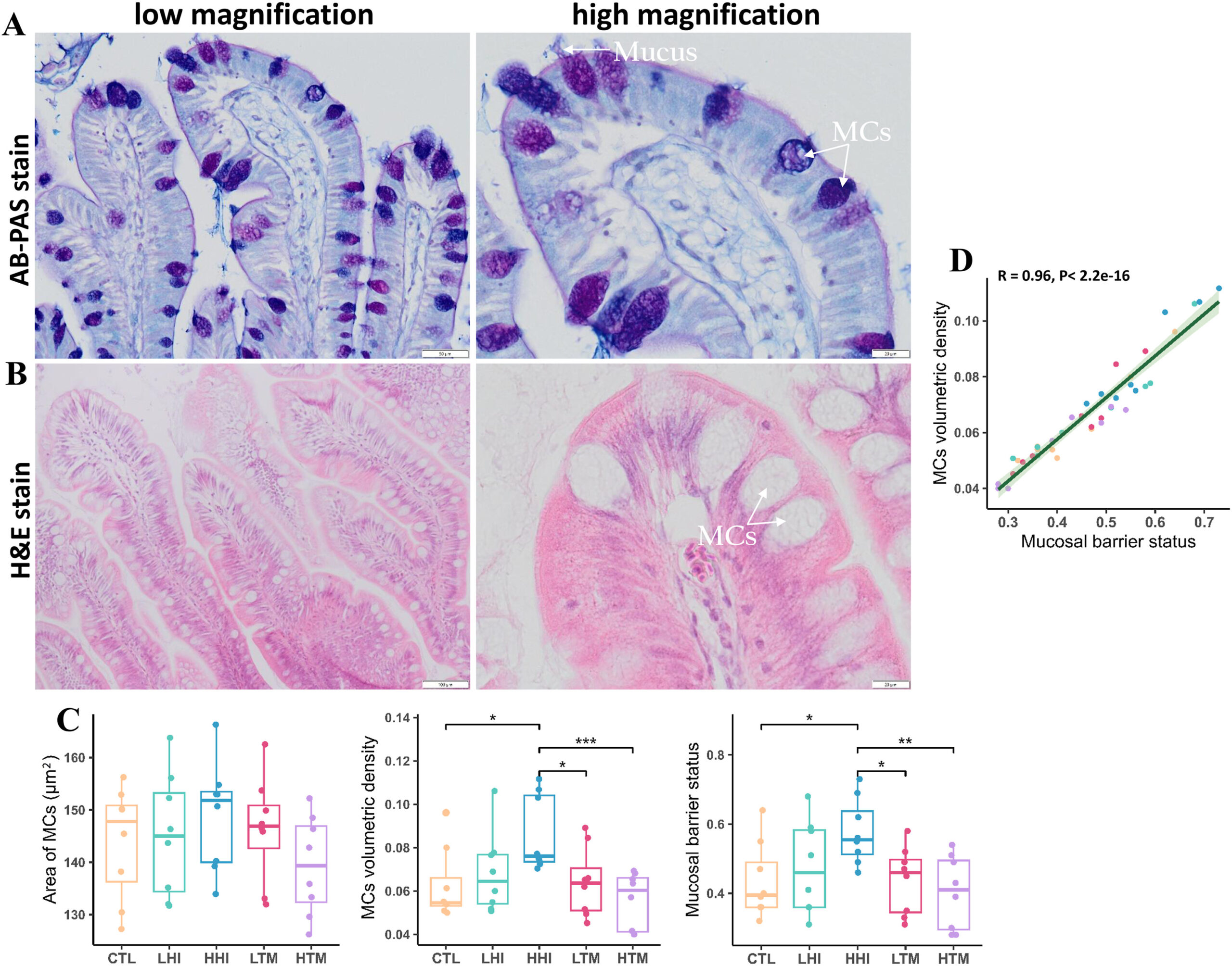 Evaluación de la barrera mucosa en el intestino de salmón alimentado con harina de insecto de mosca soldado negra