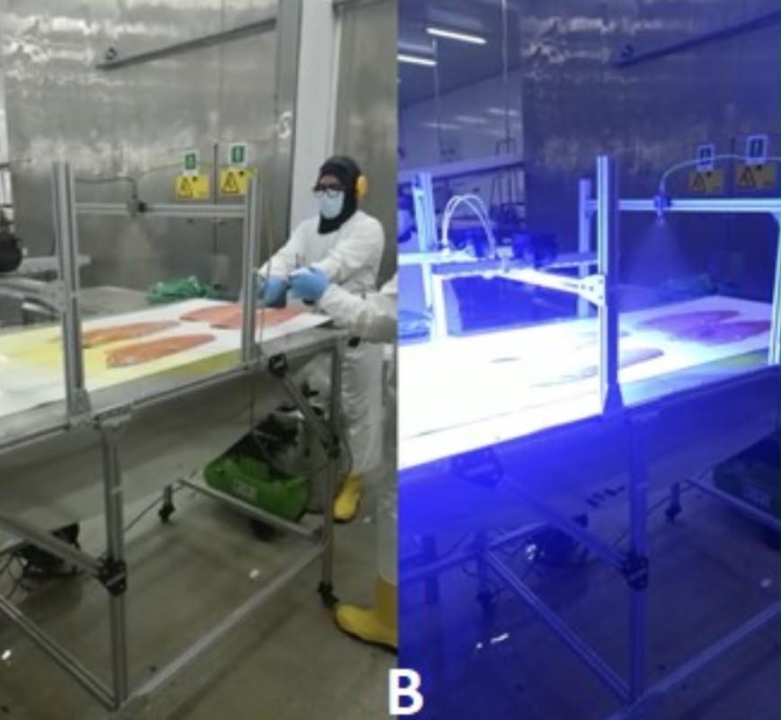 Operaria retirando piel de salmón fresco en mesa de empaque y fileteo industrial