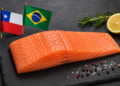 Imagen referencial del mercado de salmón entre Chile y Brasil, generada con IA
