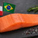 Imagen referencial del mercado de salmón entre Chile y Brasil, generada con IA